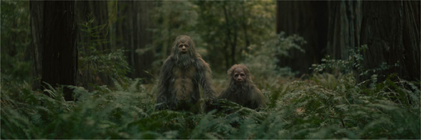 SasquatchSun